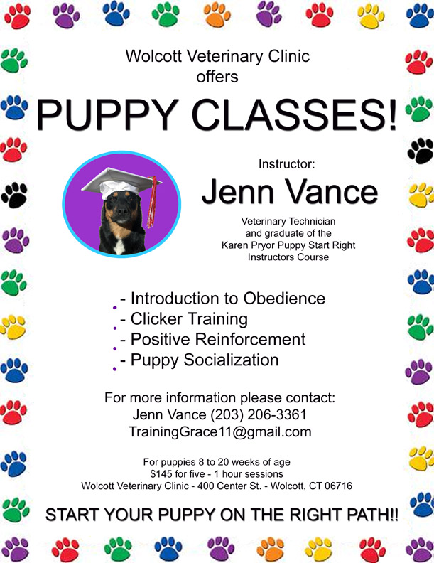 Puppy Classes Wolcott Veterinary Clinic, PC